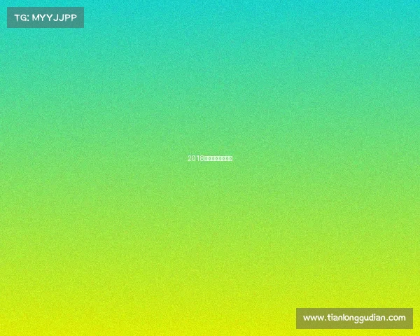 2018上海赛车场赛事表