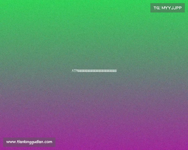 ATP男子职业网球巡回赛全球顶尖选手激烈对决竞技风采盛宴