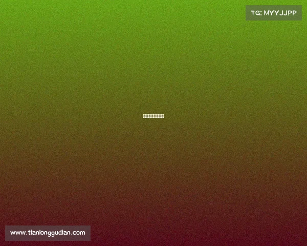 上海业余篮球赛事